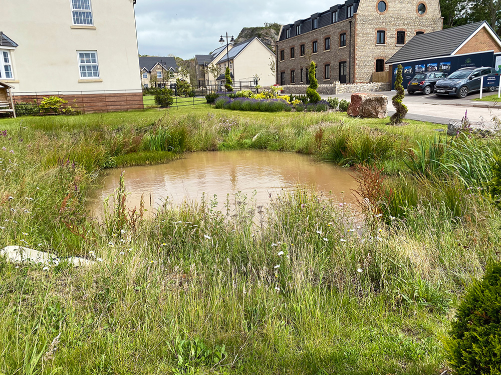 SuDS in housing development