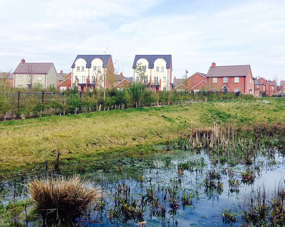 Sustainable Drainage Systems (SuDS) 